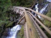 4.30.06 Hamilton Mountain